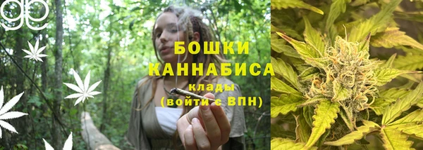 сатива Лихославль
