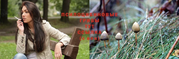таблы Лиски