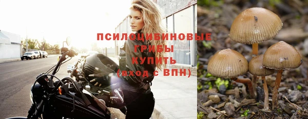 сатива Лихославль