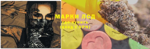 сатива Лихославль